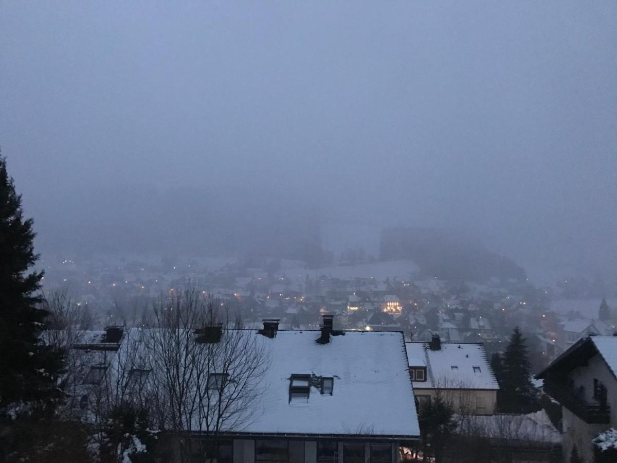 Appartement Familie Willems Winterberg 2 Bagian luar foto
