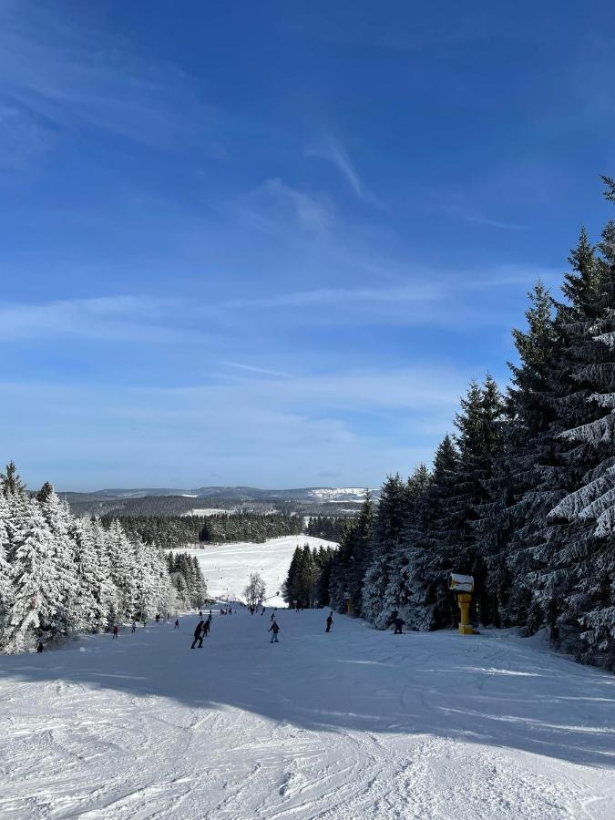 Appartement Familie Willems Winterberg 2 Bagian luar foto